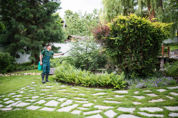 Best Commercial Pest Control Services  in Marionville, MO