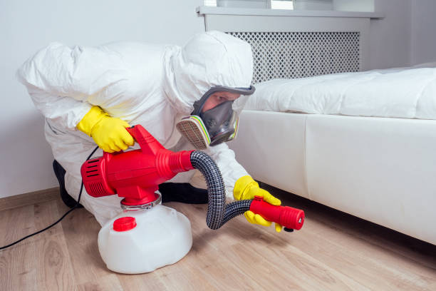 Best Pest Inspection Near Me  in Marionville, MO