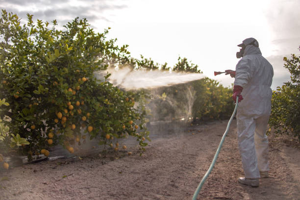 Best Best Pest Control Companies  in Marionville, MO