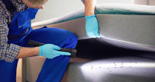 Best Local Pest Control Services  in Marionville, MO