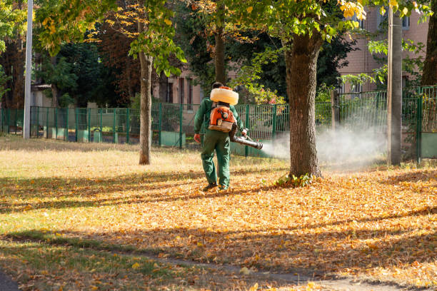 Best Cockroach Control Services  in Marionville, MO