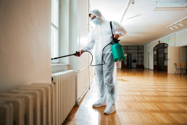 Best Termite Control Services  in Marionville, MO