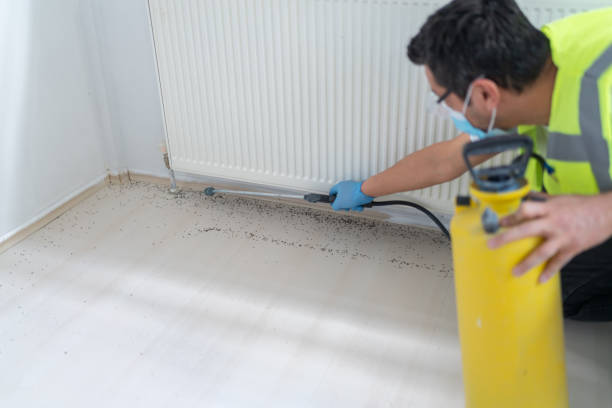 Best Cockroach Control Services  in Marionville, MO