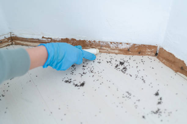 Pest Control for Restaurants in Marionville, MO